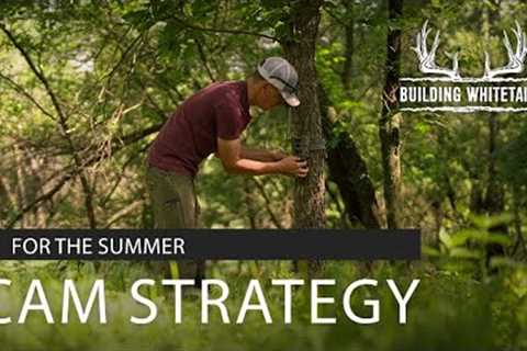 Summer Trail Camera Strategies on the 107 | Building Whitetails| SPYPOINT