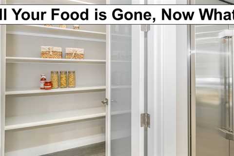 All Your Food is Gone, Now What?
