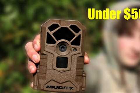 The BEST BUDGET trail camera?