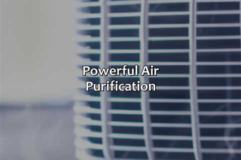 Powerful Air Purification