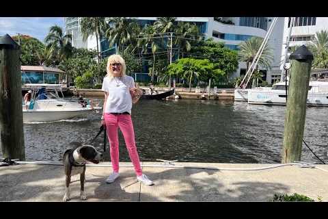 LIVE Walking Riverwalk Fort Lauderdale Florida w/Hudson the Dog July 15, 2023