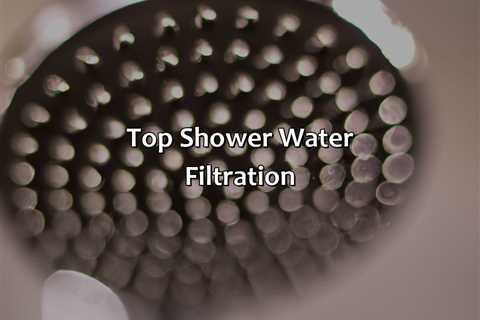 Top Shower Water Filtration