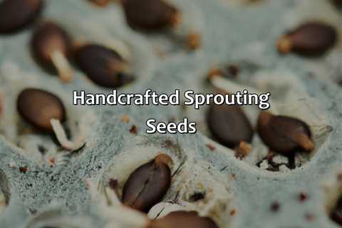 Hand-Crafted Sprouting Seeds
