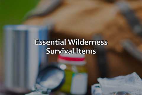 Essential Wilderness Survival Items