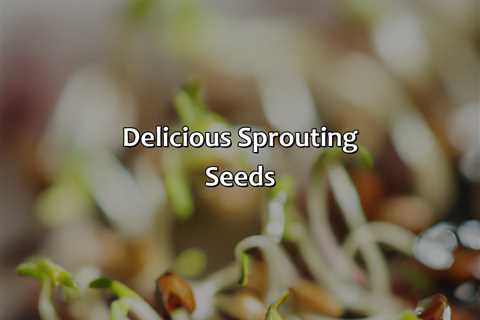 Delicious Sprouting Seeds