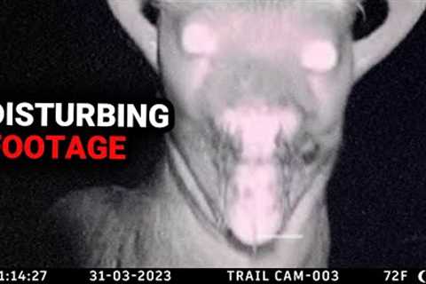 Most Disturbing Trail Cam Footage No One Expected (2023)