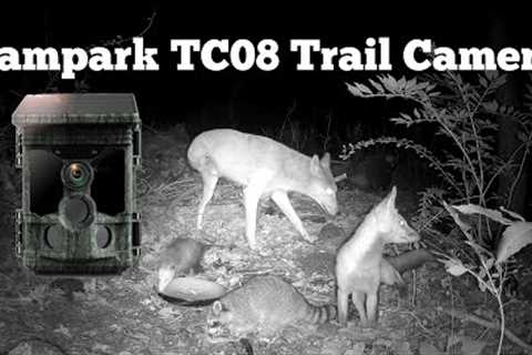 Campark TC08 Trail Camera Review and Wildlife Footage