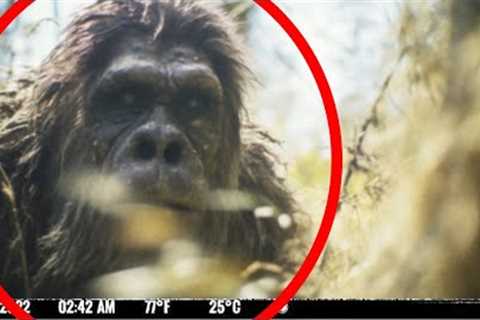 Disturbing Trail Cam Captures That Are Now Famous