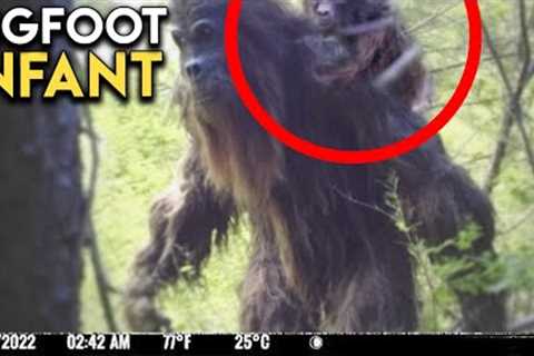 Terrifying Trail Cam Encounter That Became Famous