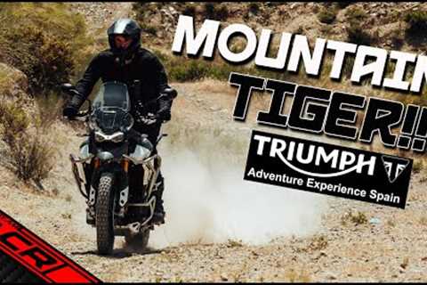 Catching A Tiger By The Trail!! | Triumph Adventure Experience PART 2
