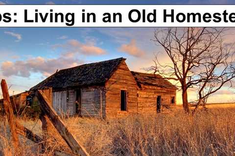 Living in an Old Homestead: 20 Tips for Updating While Preserving Its History