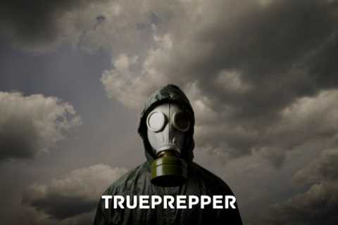Best Gas Mask for Tear Gas, Viruses, and Nuclear Fallout