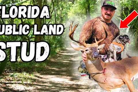 Crazy Shot On A FLORIDA PUBLIC LAND GIANT!!! (BUCKS and BASS)