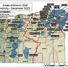 Wildlife Officials Offer $50,000 Reward for Information About Three Wolves Found Dead in Oregon