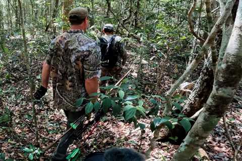 Tim Wells: Bowhunting Yucatan Oscillated Turkey