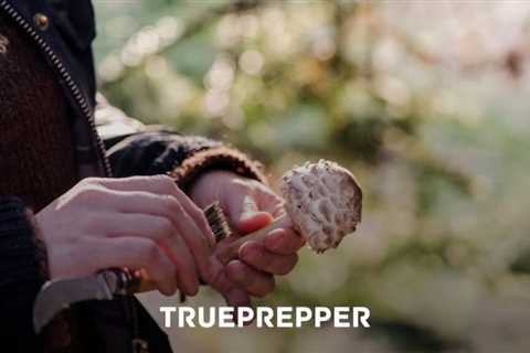 10 Cheap Ways to Become a Better Prepper
