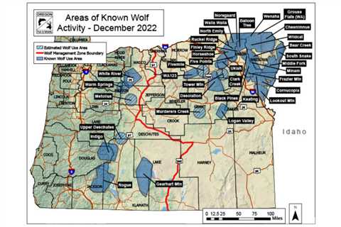 Wildlife Officials Offer $50,000 Reward for Information About Three Wolves Found Dead in Oregon