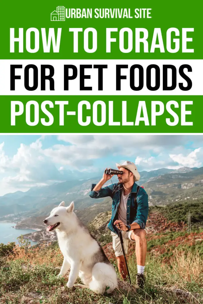 How to Forage for Pet Foods Post-Collapse