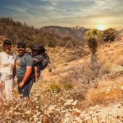 Tips for Hiking in the Desert