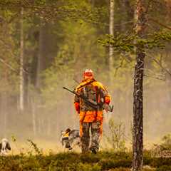 Rules for the Hunt: 7 Tips for Hunting Safety
