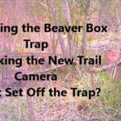 Beaver Trap Reset~ Checking the New Trail Camera~ What Set Off the Trap