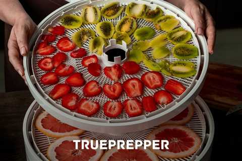 Best Dehydrator for Prepping and Food Storage