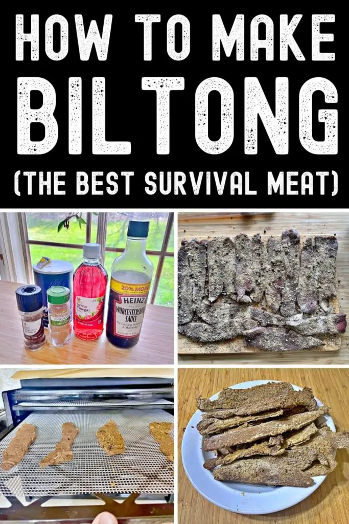 How to Make Biltong (The Best Survival Meat)