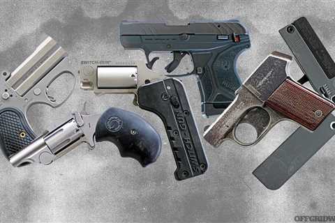 Rimfire Pocket Pistols