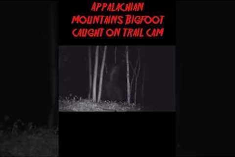 TERRIFYING TRAIL CAM