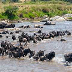 Wildlife Concerns Surge After Kenya Court Makes Their Ruling Over A Luxury Safari Camp